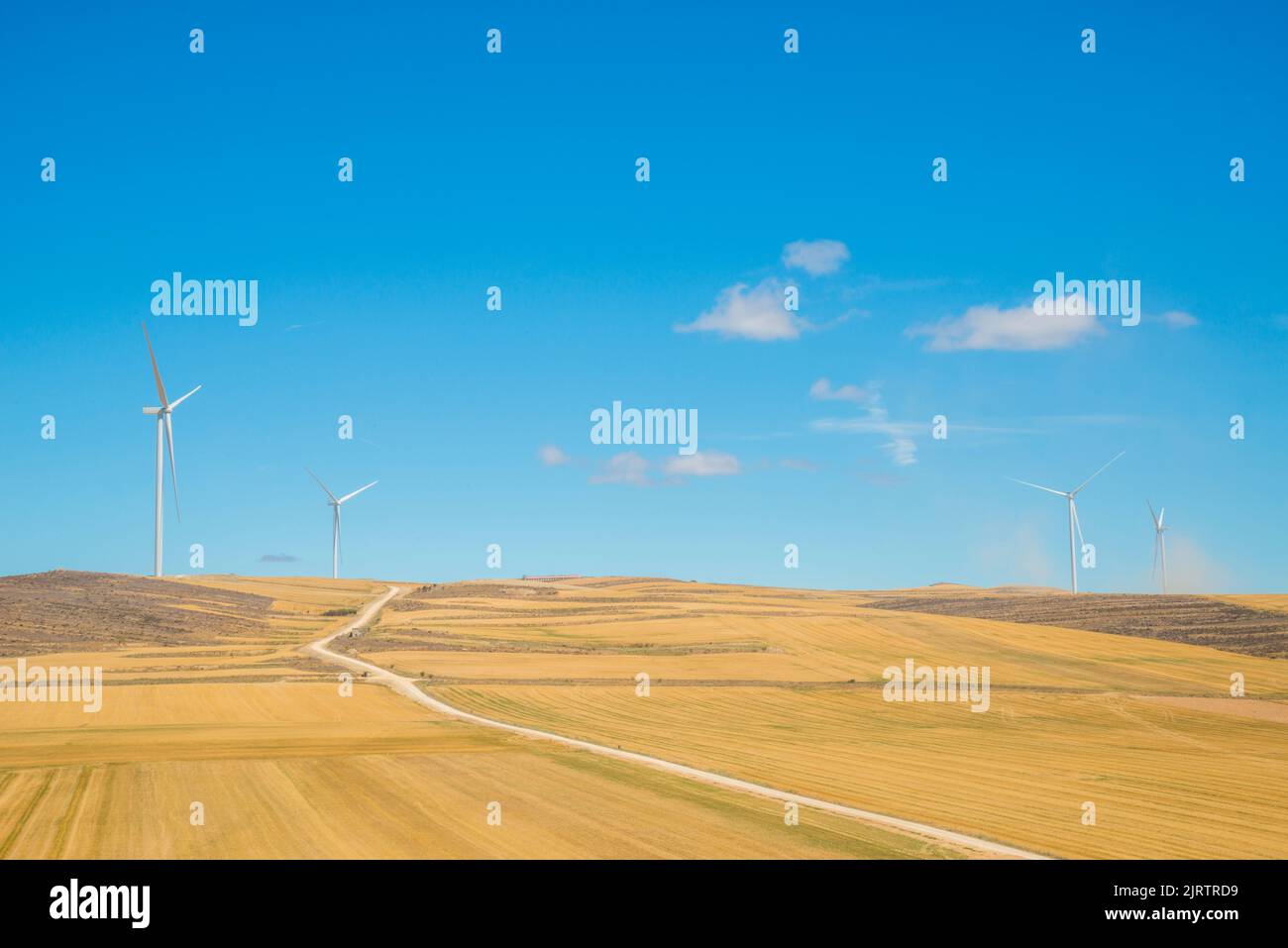 Wind farm. Trebago, Soria province, Castilla Leon, Spain. Stock Photo