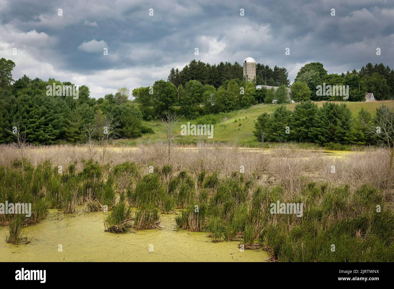 An overcast day above a swamp and farm in the background near Manitowoc, Wisconsin. Stock Photo