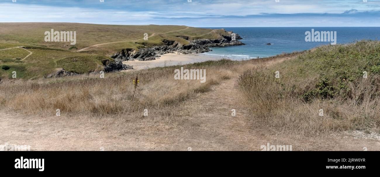 A panoramic image of rough footpaths through a field overlooking Polly Porth Joke on West Pentire on the coast at Newquay in Cornwall in the UK. Stock Photo