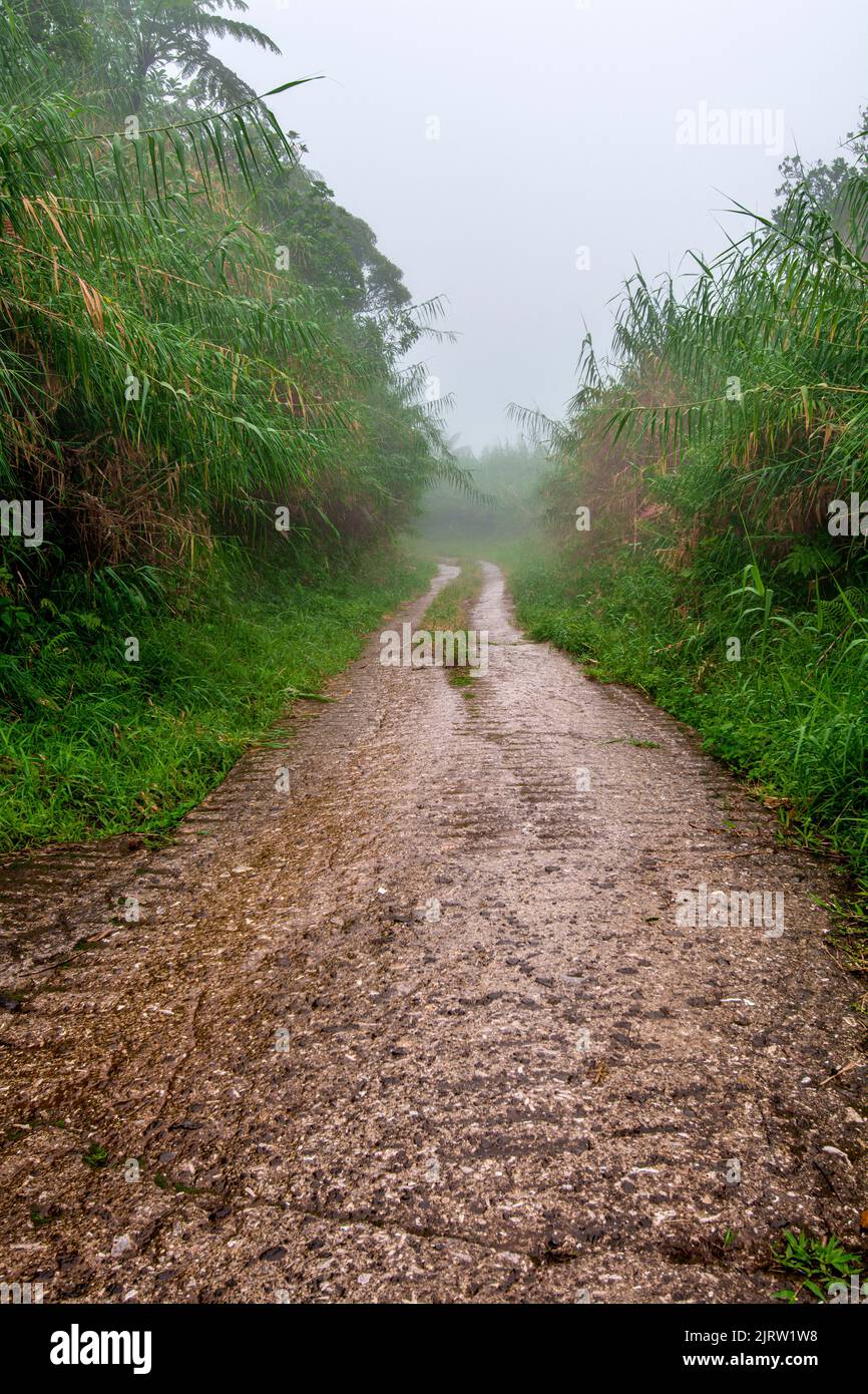 A dirt road in the highlands on the south pacific shows the cloudy, cold weather typical of this area. Stock Photo