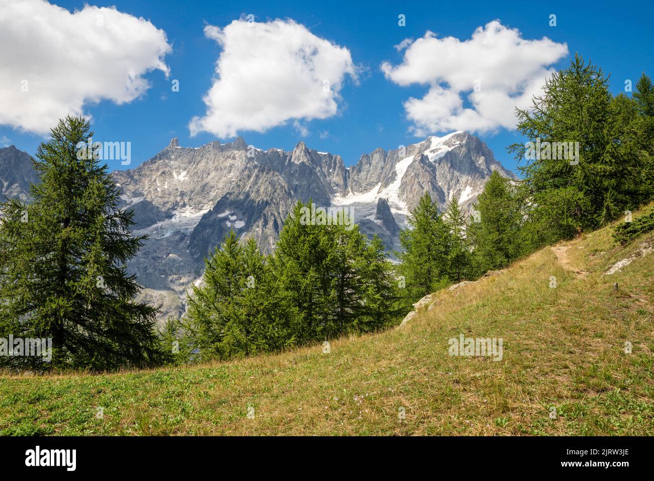 The Grand Jorasses from Val Ferret valley in Italy. Stock Photo