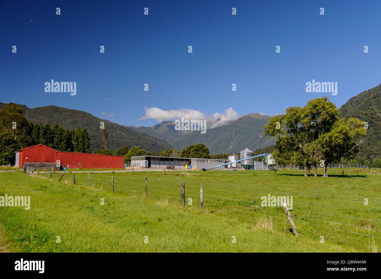 Dairy farming in the Whataroa district on the west coast of South