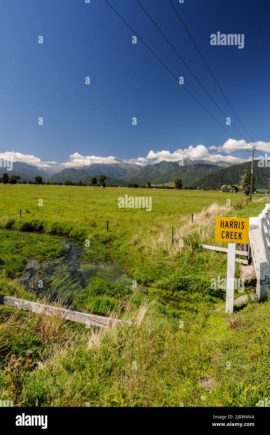 One of the many creeks through cattle farmland in the Whataroa district