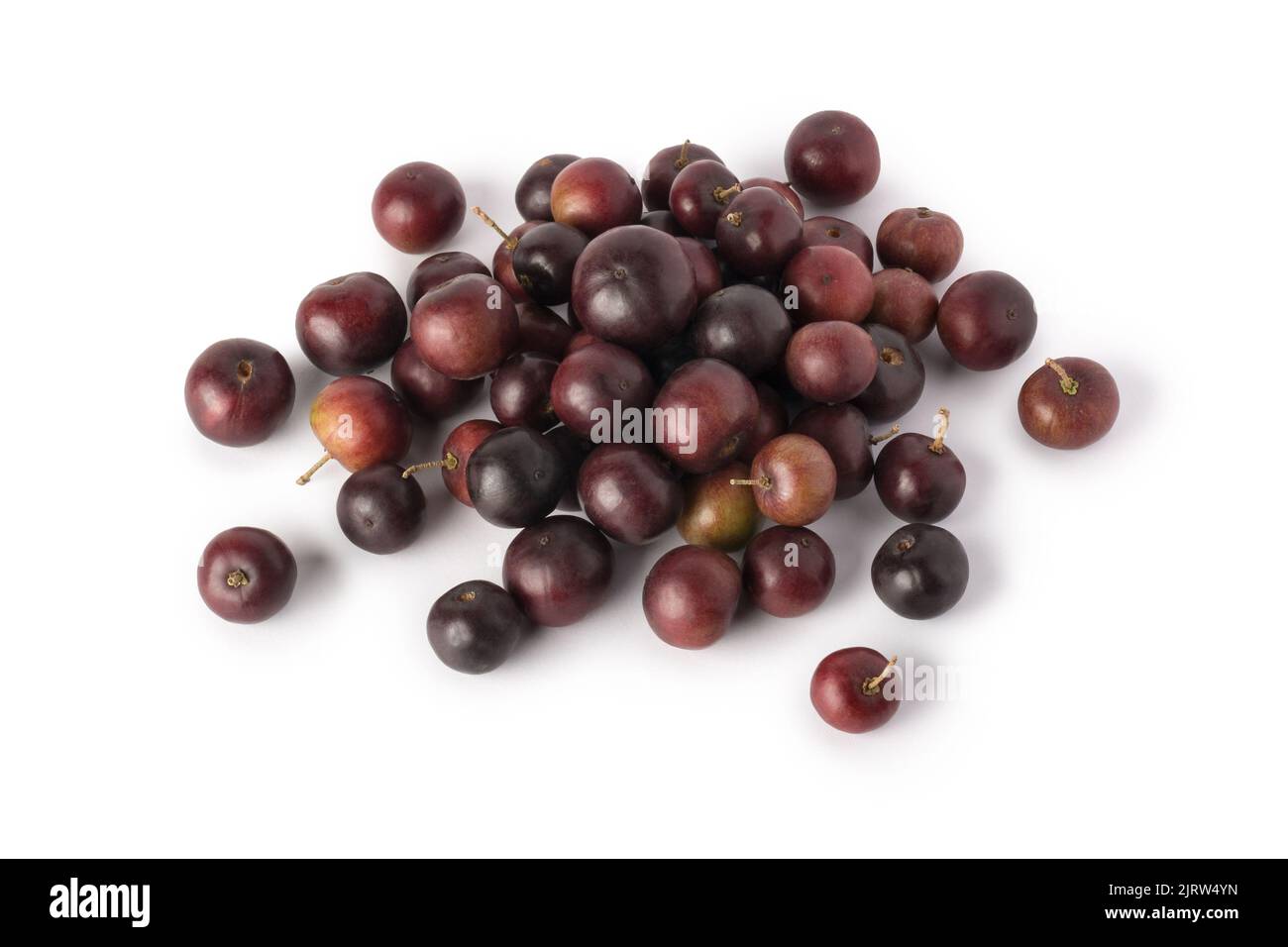heap of governor's plum fruits, flacourtia indica, also known as ramontchi, madagascar plum or indian plum, reddish black fleshy fruits isolated Stock Photo