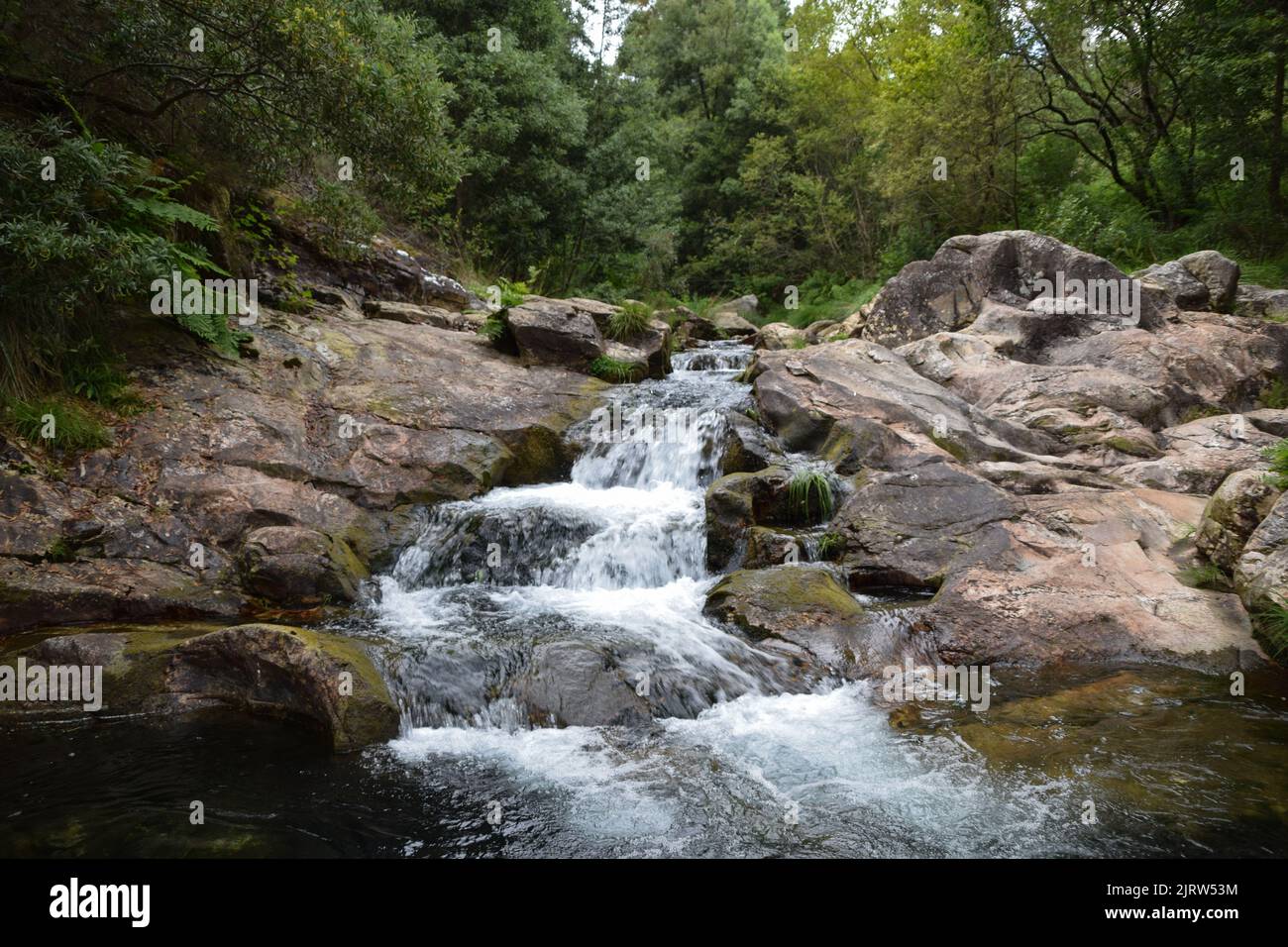 Small cascading waterfalls surrounded by trees in Galicia - Spain Stock Photo