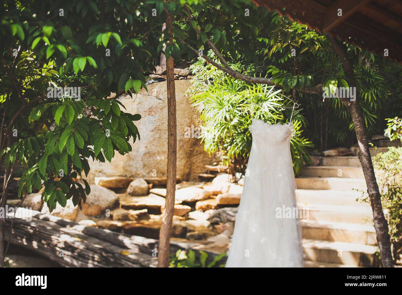 Beige wedding dress hanging on a tree. Stock Photo