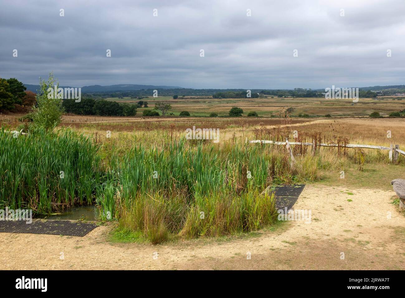Pulborough Brooks RSPB Nature Reserve in West Sussex looking dry after months with no rain this summer 2022 Stock Photo