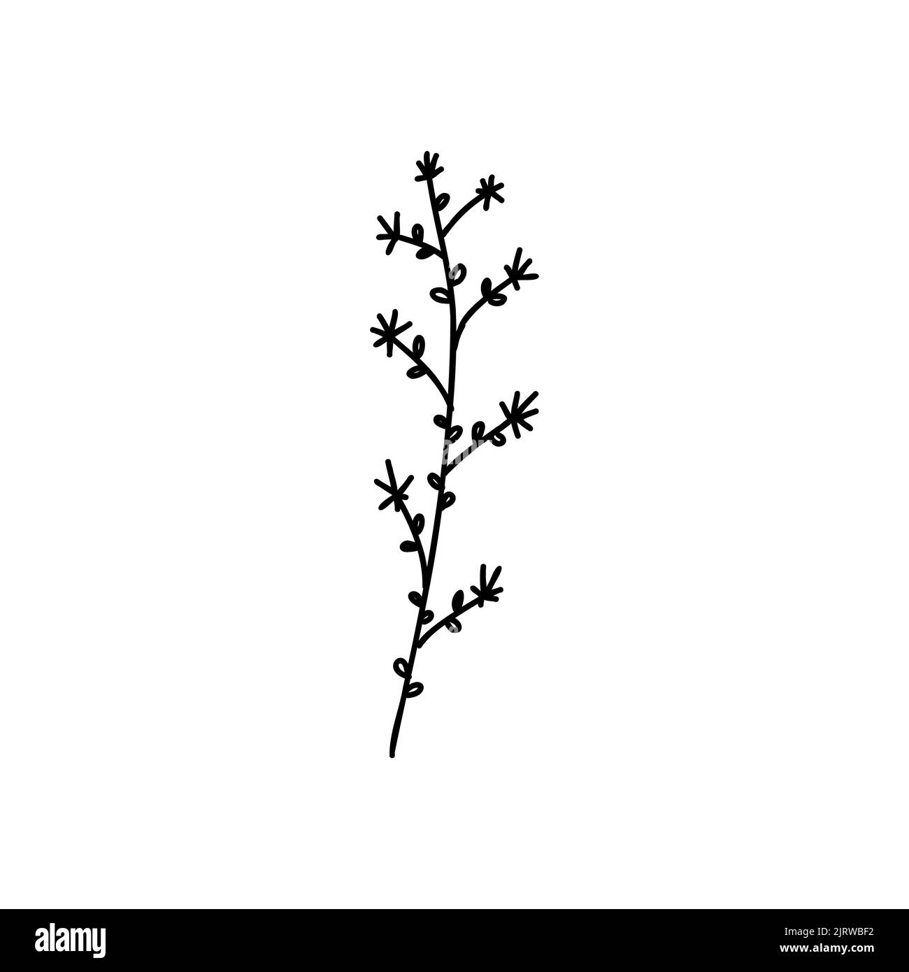 Doodle flower tattoo. Outline floral sketches. Vector hand drawn vintage flowers collection