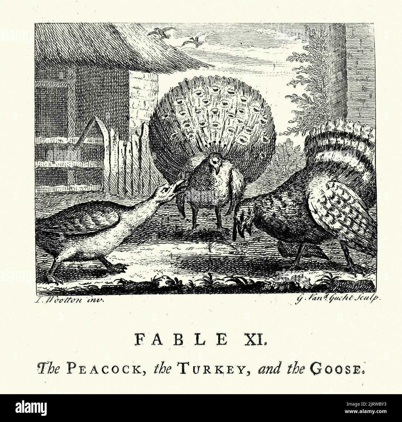 Vintage engraving The Peacock, the Turkey and the Goose, From the Fables of John Gay 18th Century Stock Photo
