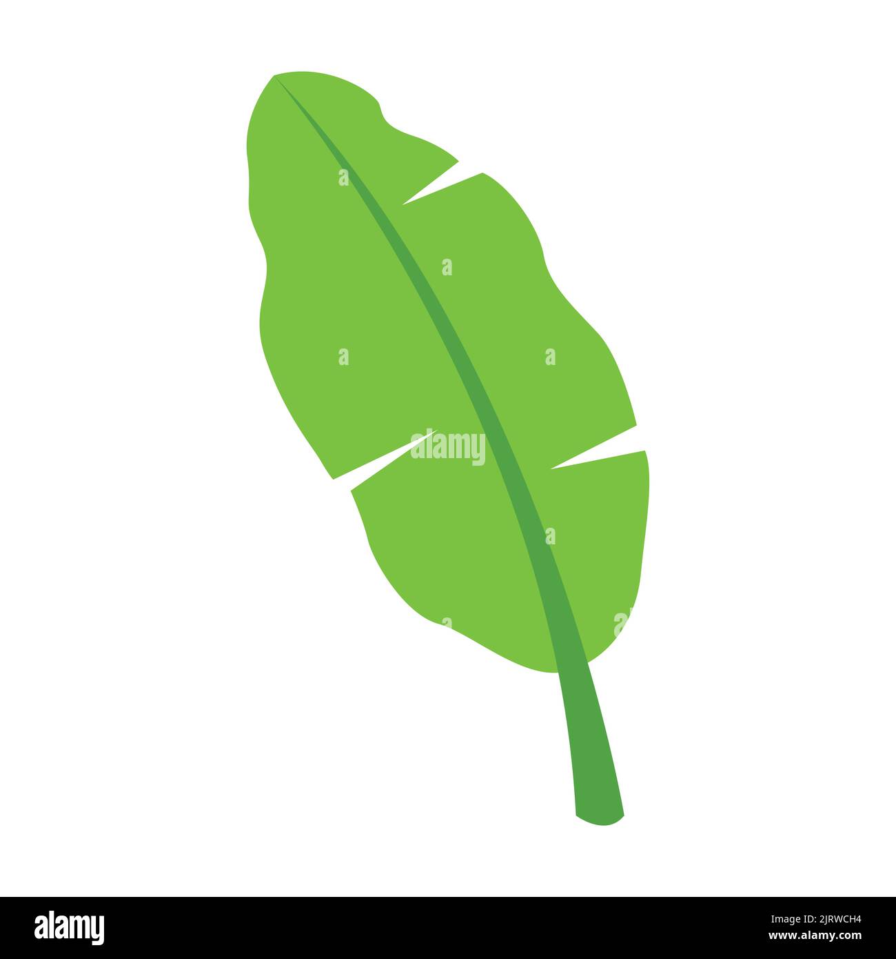 cute of banana leaf on cartoon version,vector illustration Stock Vector Image & Art Alamy