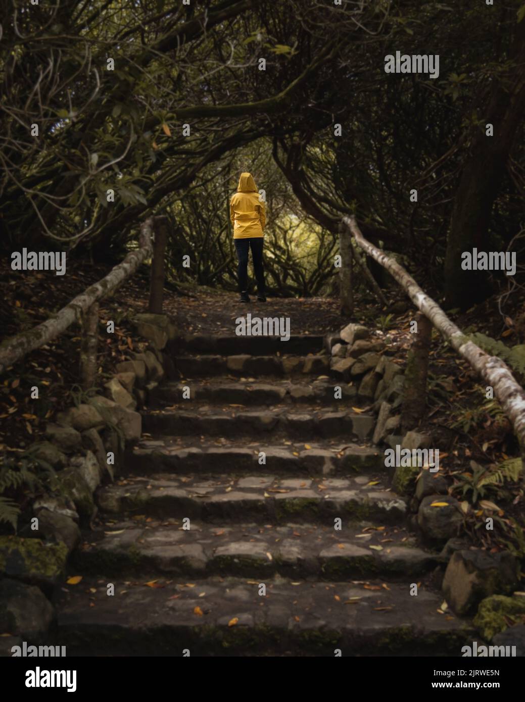 The vertical view of a girl in a yellow jacket standing on top of the