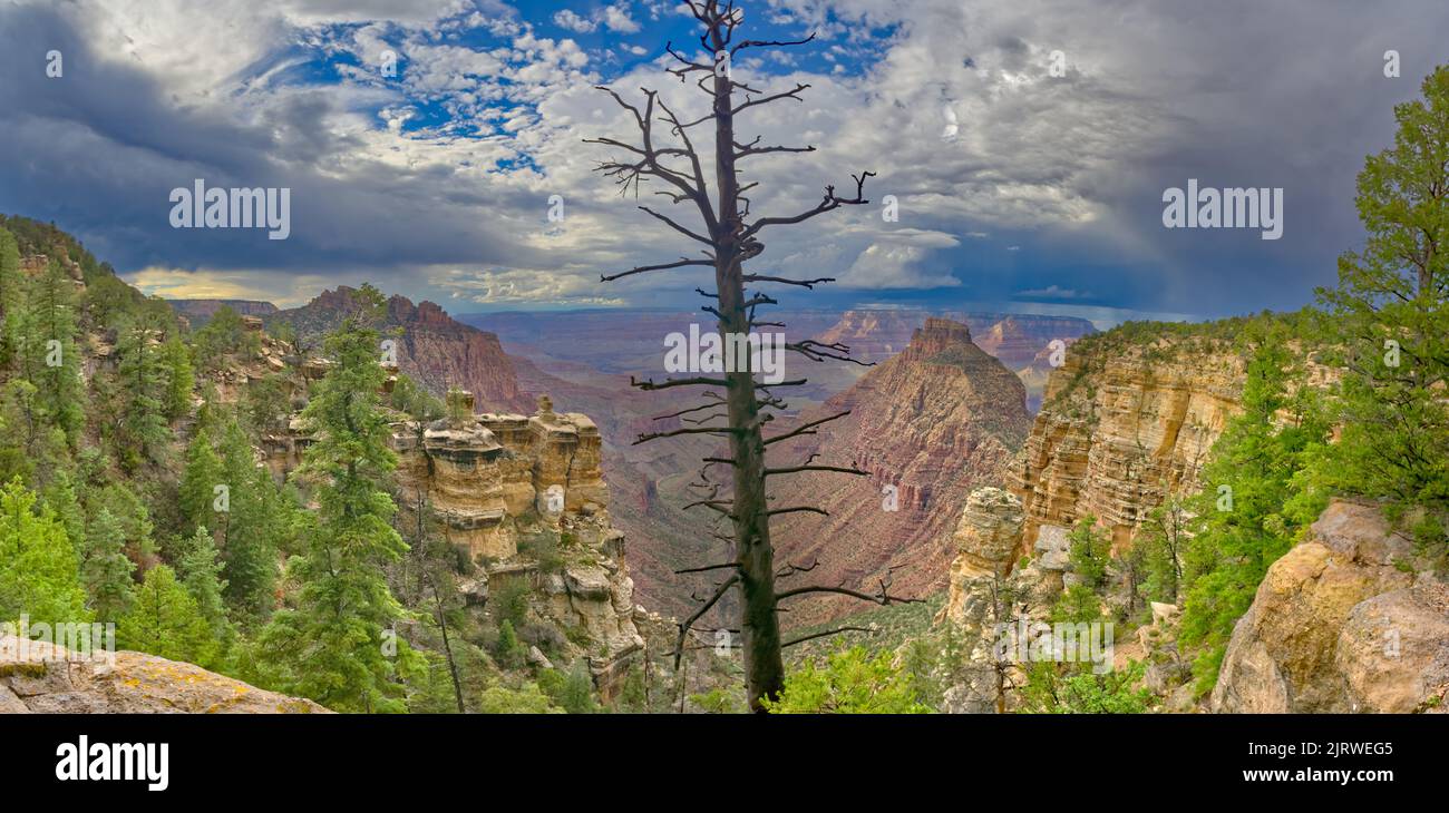 A building storm at Grand Canyon Arizona viewed from the east side of Buggeln Hill. Stock Photo