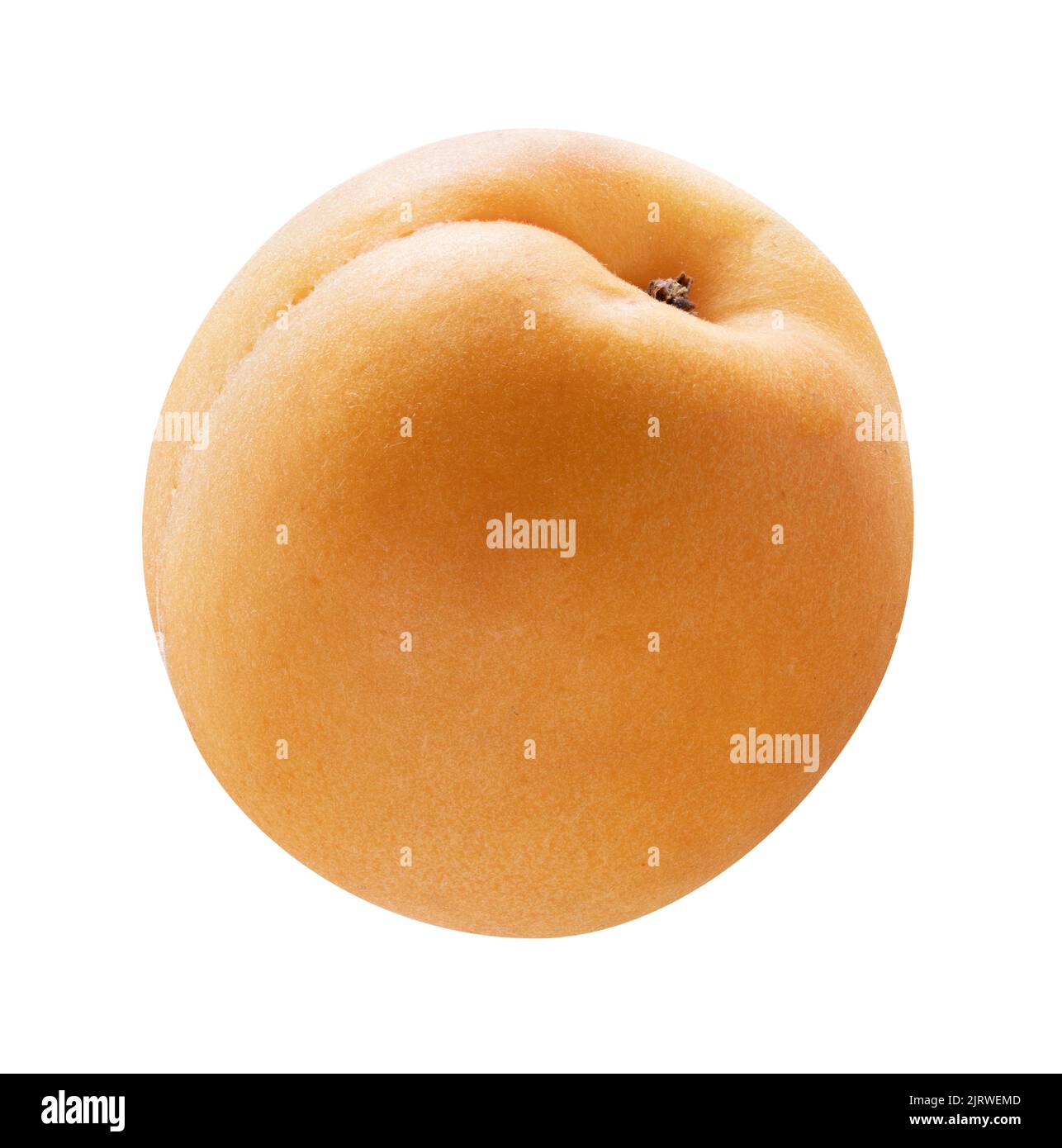 Apricot isolated on white background. clipping path Stock Photo - Alamy