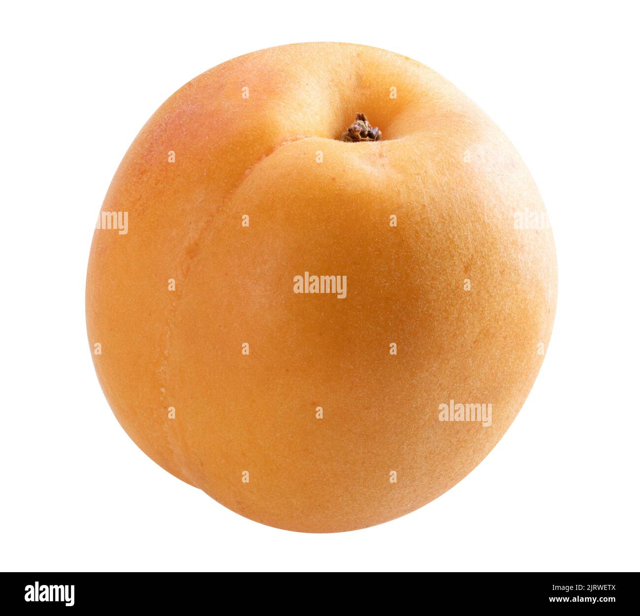 Apricot isolated on white background. clipping path Stock Photo - Alamy