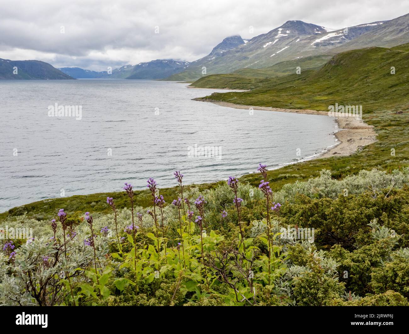The hiking trail along Lake Bygdin looking towards Torfinstinden (2118m) and Torfinsbu in the Jotunheimen National Park Norway Stock Photo
