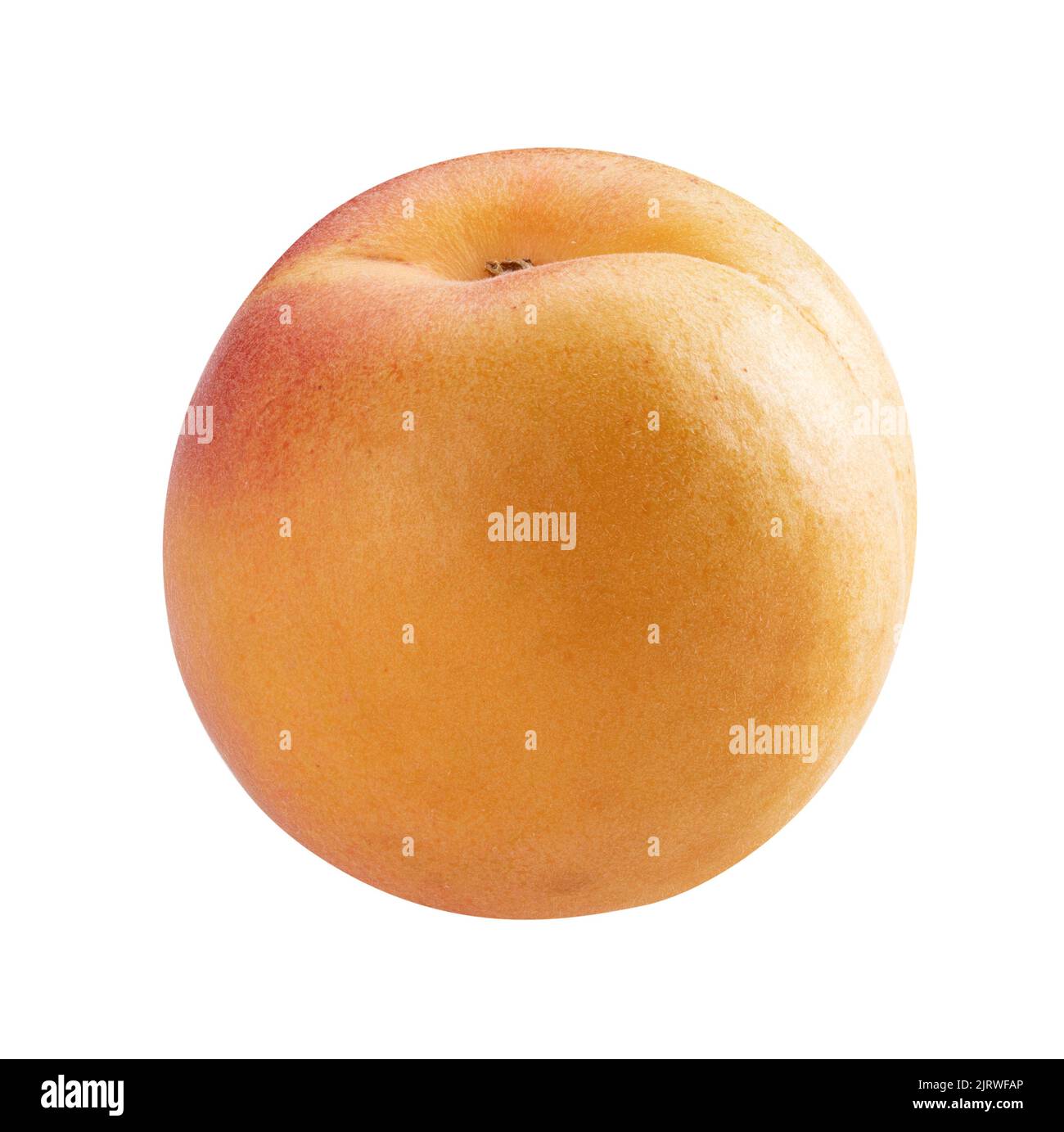 Apricot isolated on white background. clipping path Stock Photo - Alamy