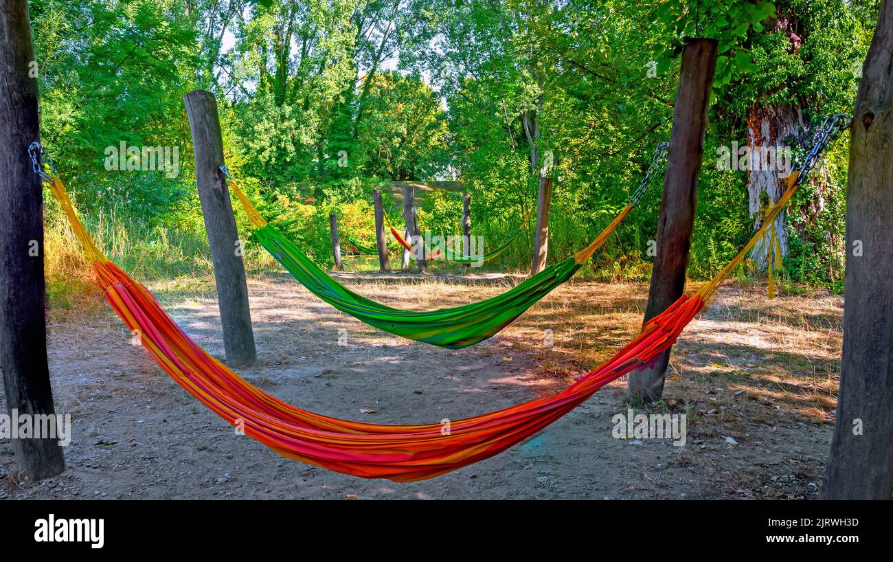 row of colourful hammocks mounted between wooden poles in a riparian forest in the Danube valley at Tulln, Austria Stock Photo