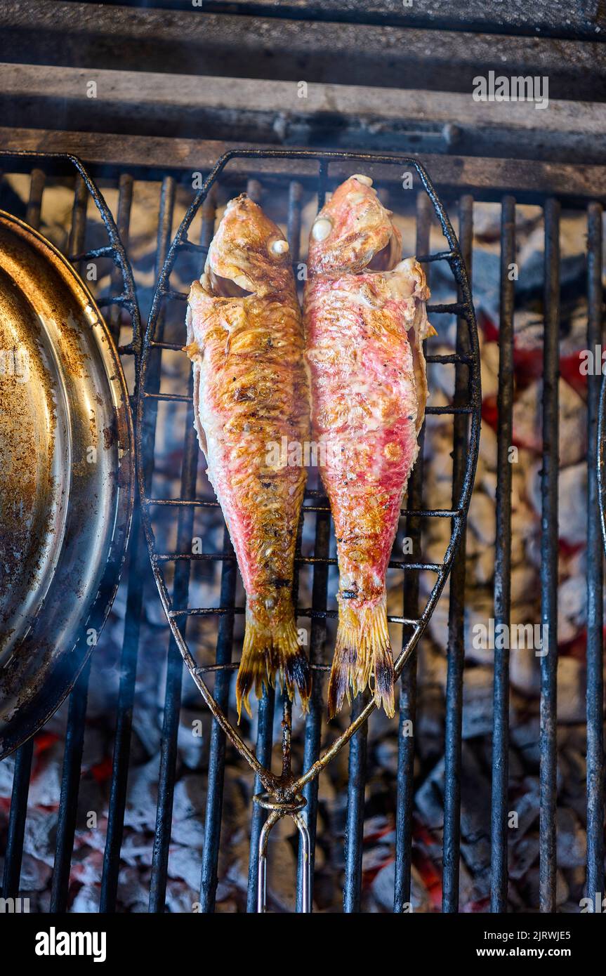 Red Mullets on a grill. Stock Photo