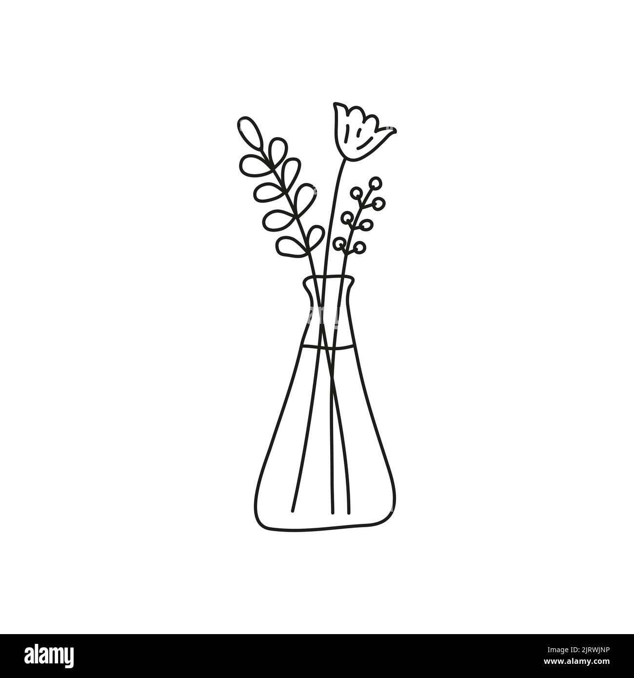 Doodle outline bouquet of wild flowers in glass vase isolated on white ...