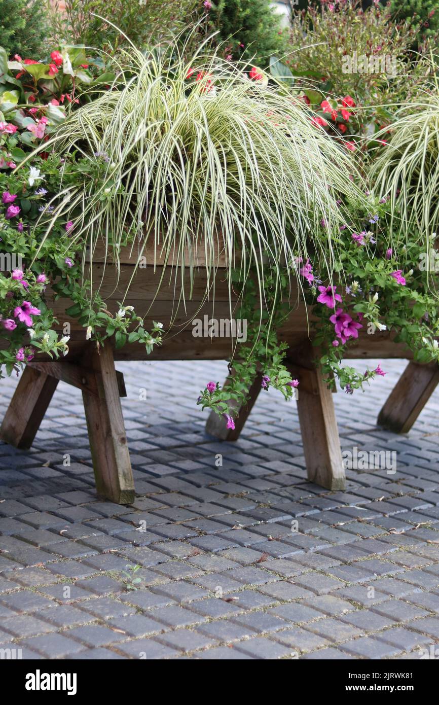 Vertical image of plant trough with grasses and assorted coloured flowers Stock Photo