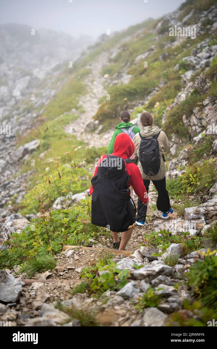 A back view of young hikers with backpacks walking in the mountains ...