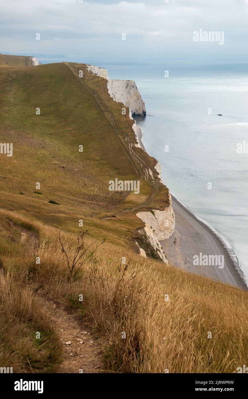 Jurassic Coast landscape towards Bat's Head and Durdle Door at White Nothe, Dorset, England, UK Stock Photo