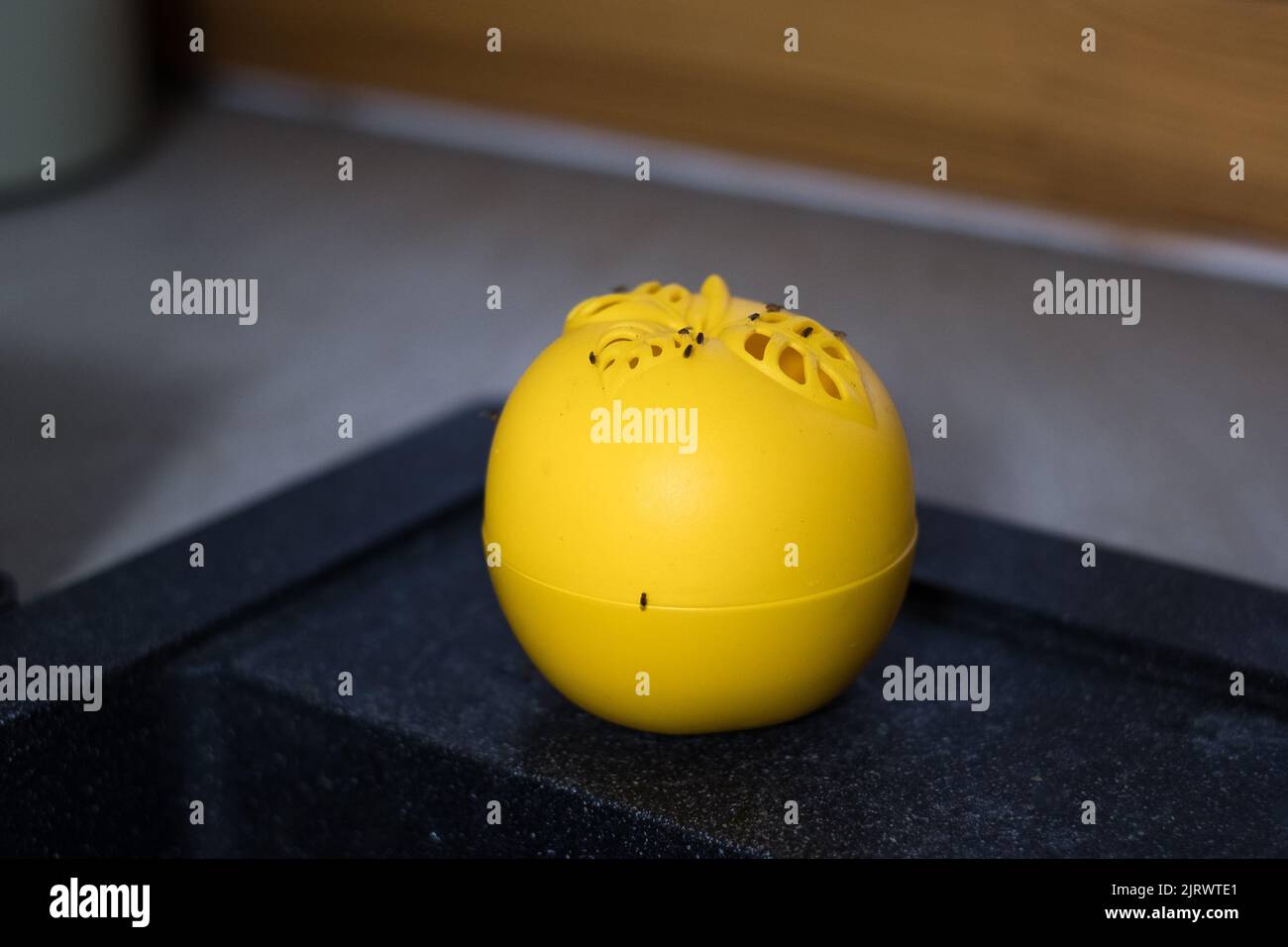 Reusable apple shaped fruit fly trap filled with liquid. Stock Photo