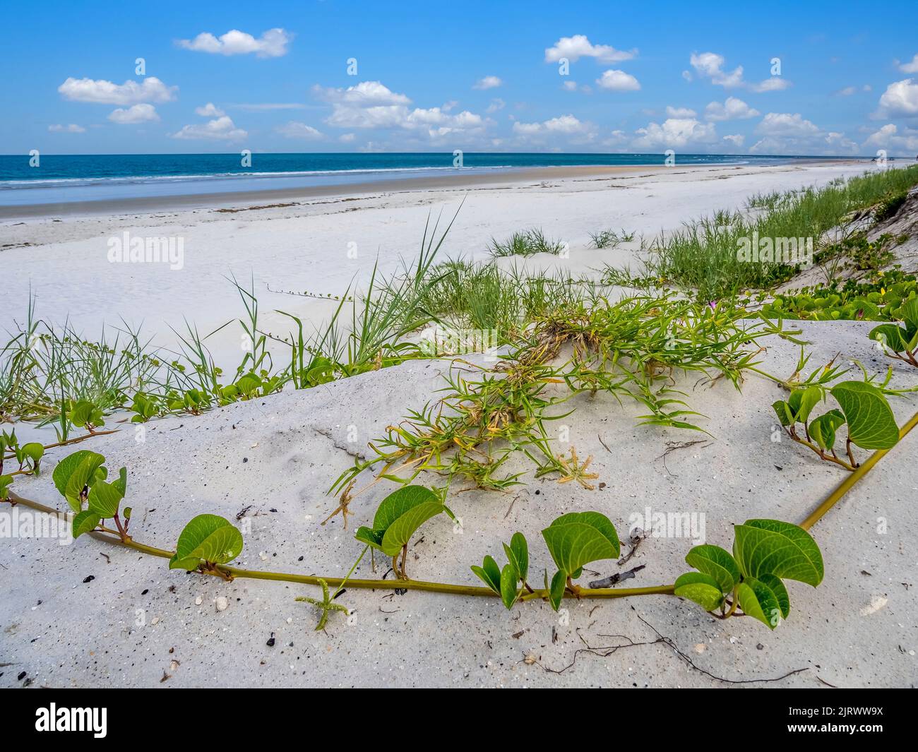 Empty Atlantic Ocean beach in Northeast Florida USA Stock Photo