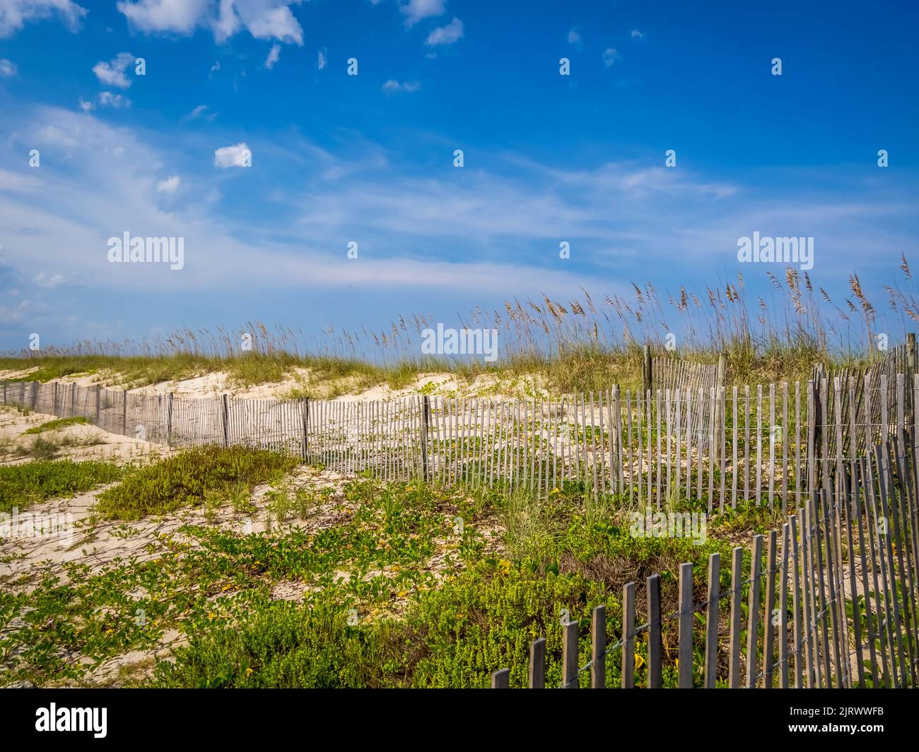 Snow fence in sand dunes on the Atlantic Ocean beach in Washington Oaks Gardens State Park in Palm Coast Florida USA Stock Photo