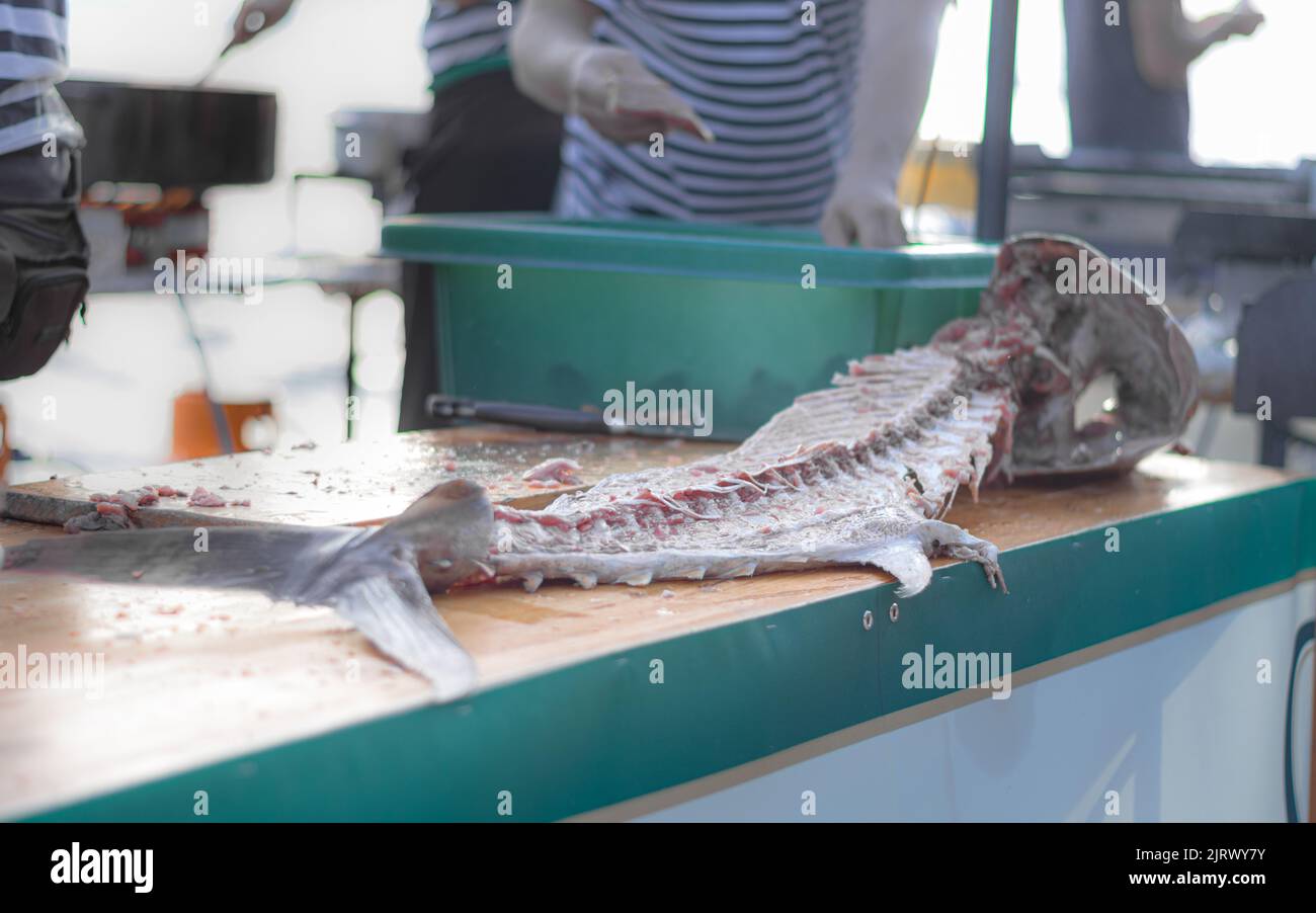 fresh raw tuna fish bones after cut in Zadar, Croatia Stock Photo Alamy