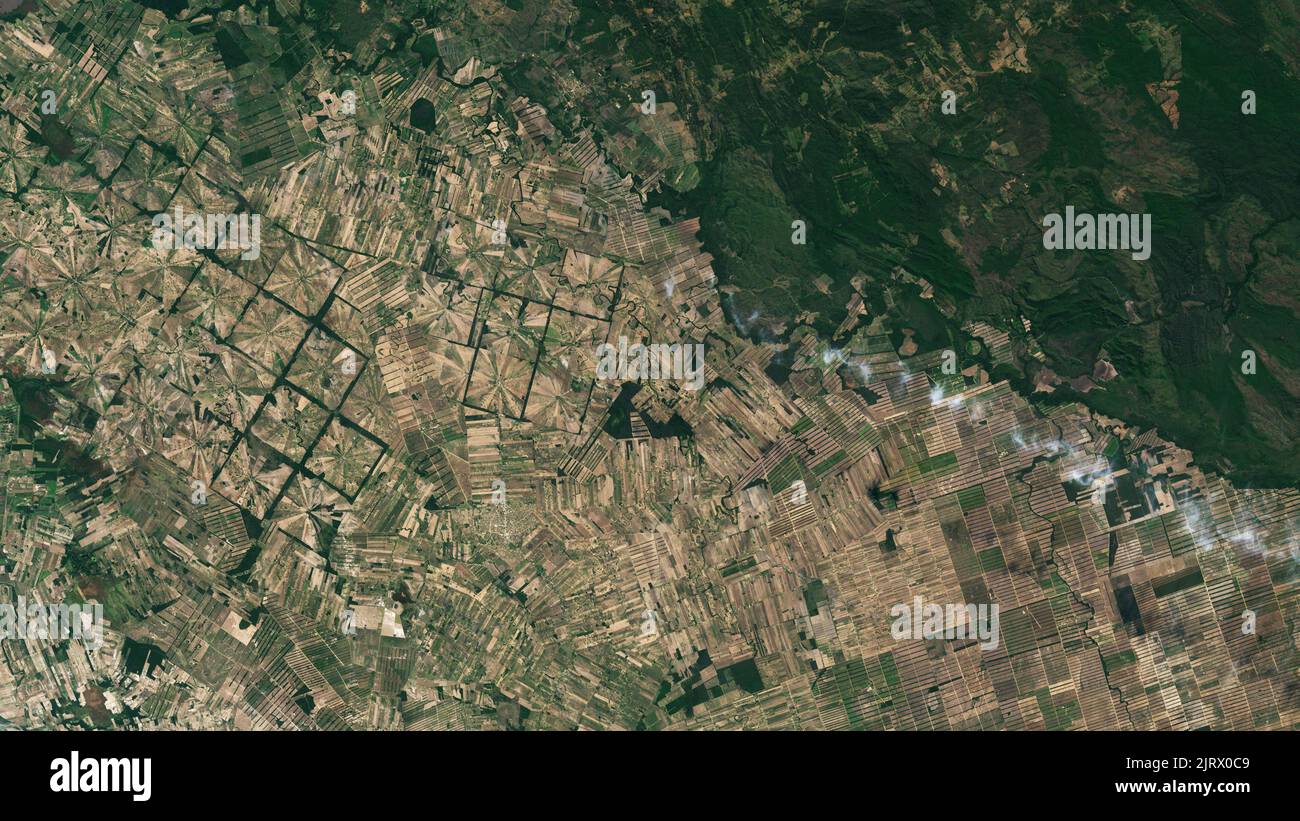 Aerial of deforestation in Bolivia Stock Photo