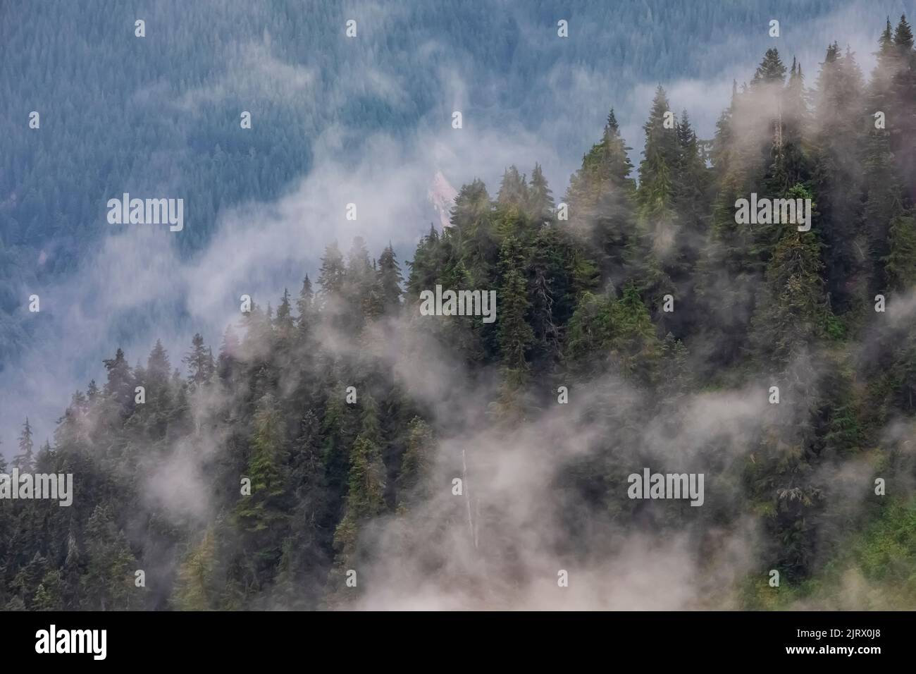 Unsettled weather in the mountains surrounding Evergreen Mountain Lookout, Cascade Range, Mt. Baker-Snoqualmie National Forest, Washington State, USA Stock Photo