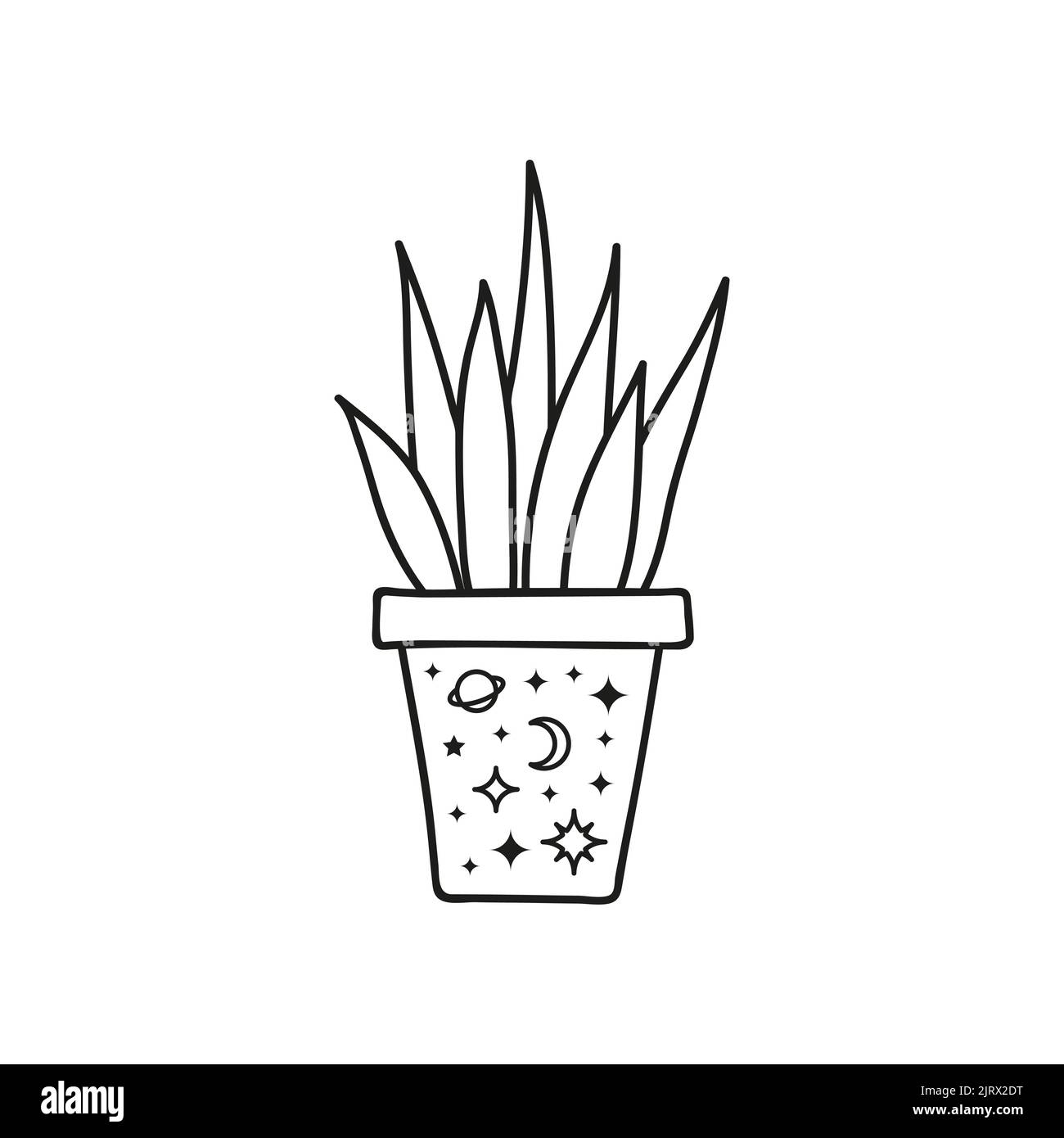 Outline celestial house plant in pot with moon, planet and stars