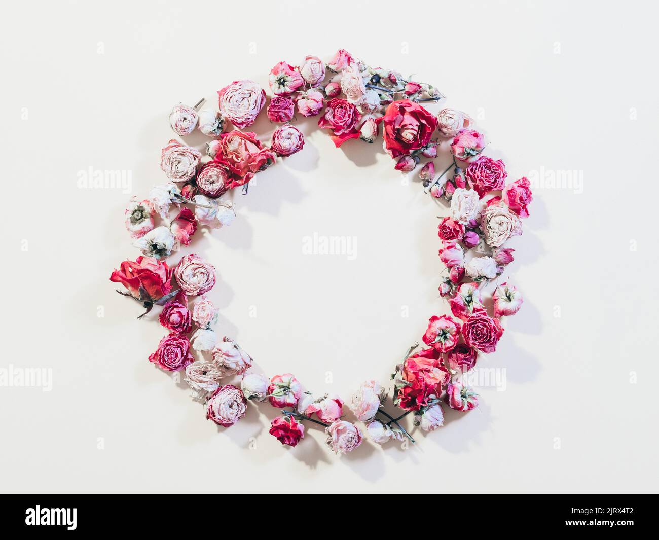 flower composition congratulation rose wreath Stock Photo