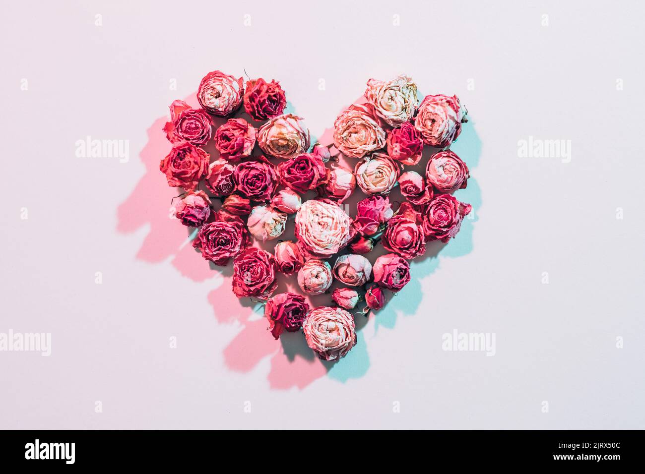 Rose Flowers Wallpaper (57+ images)