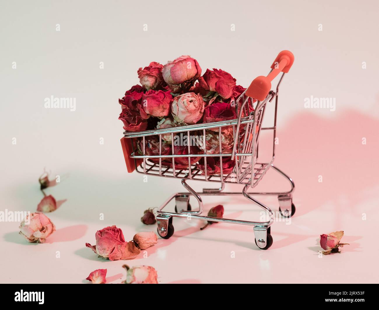conceptual floral composition flower shop sale Stock Photo Alamy