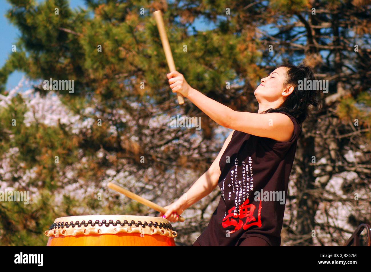 A Japanese Woman performs Traditional Taiko Drumming during a sakura cherry blossom festival in the spring Stock Photo