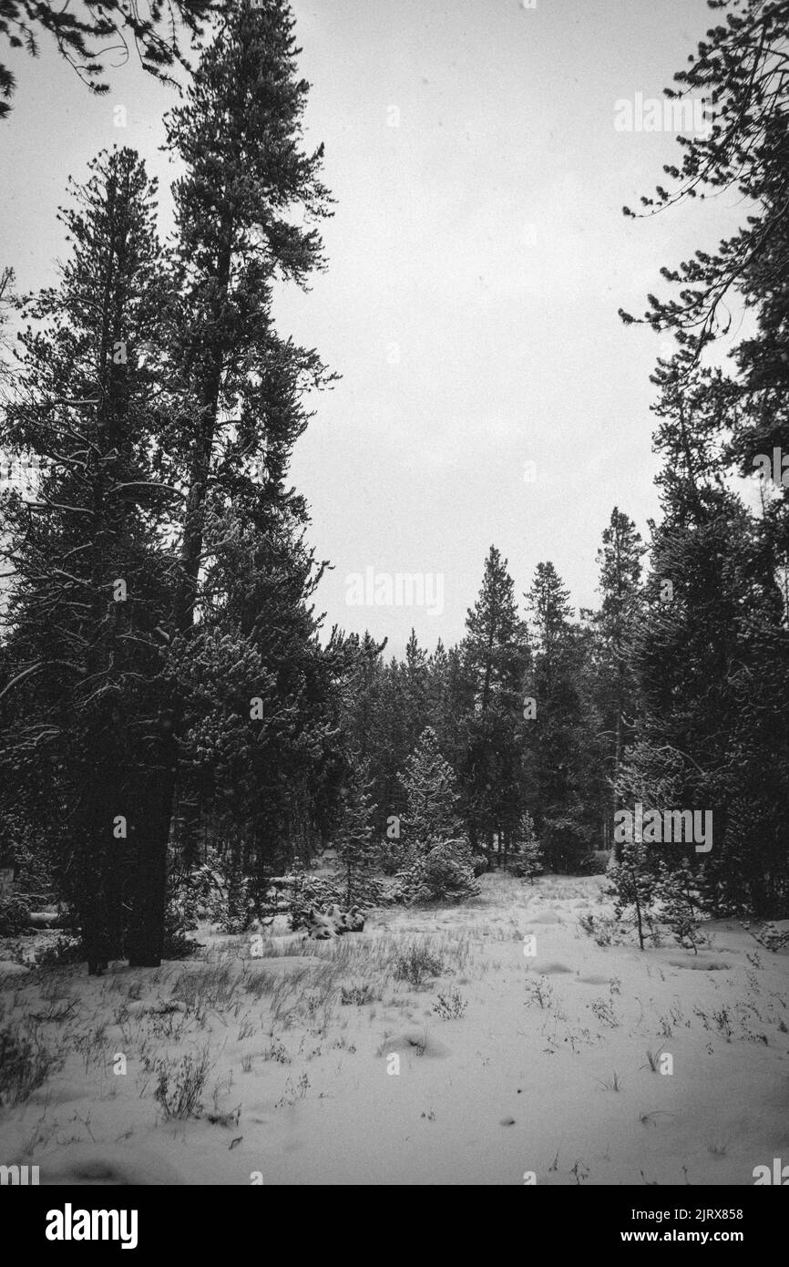 Leadville colorado snow Black and White Stock Photos & Images Alamy