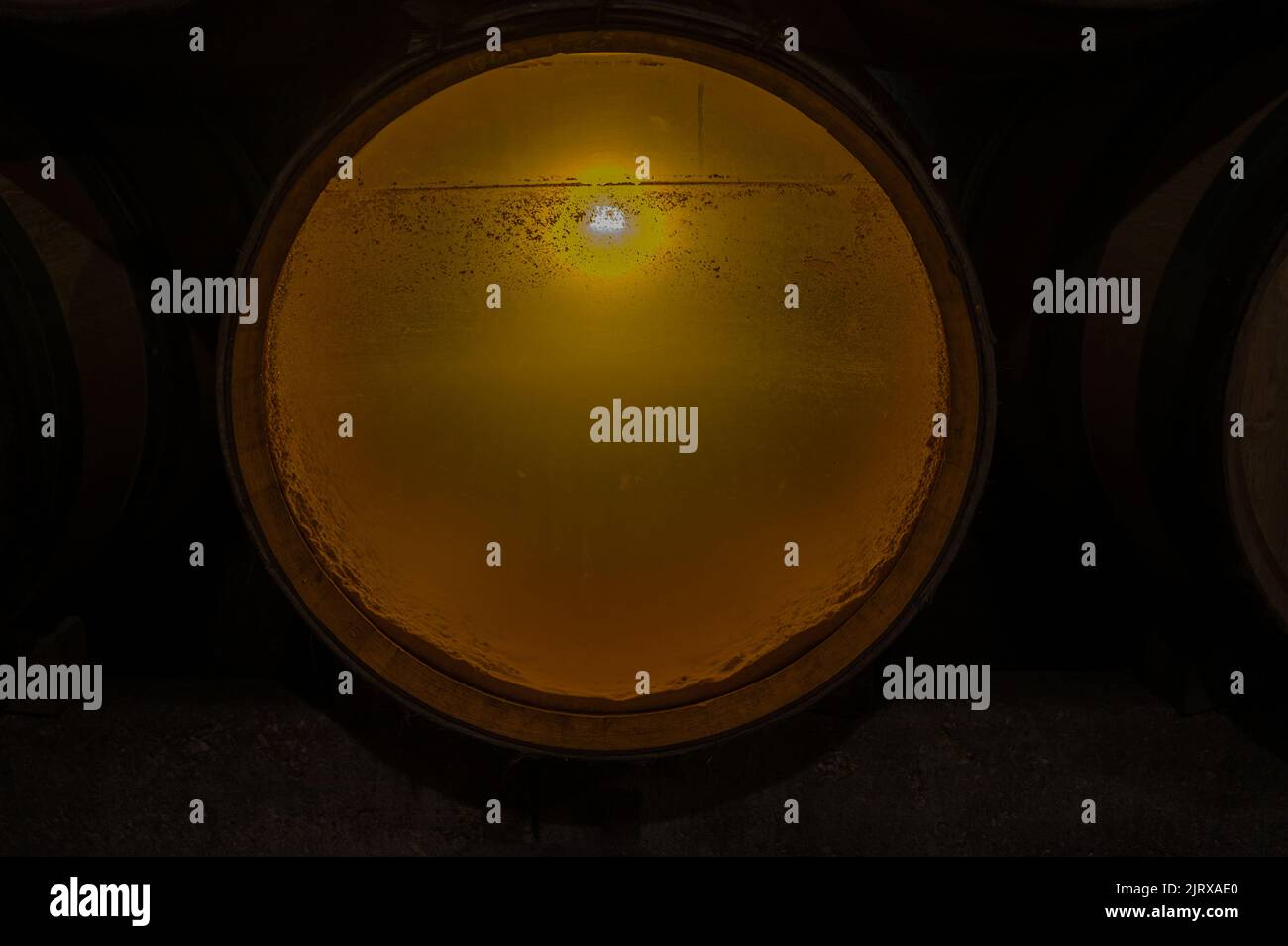 Stages of wine production from fermentation to bottling, visit to wine