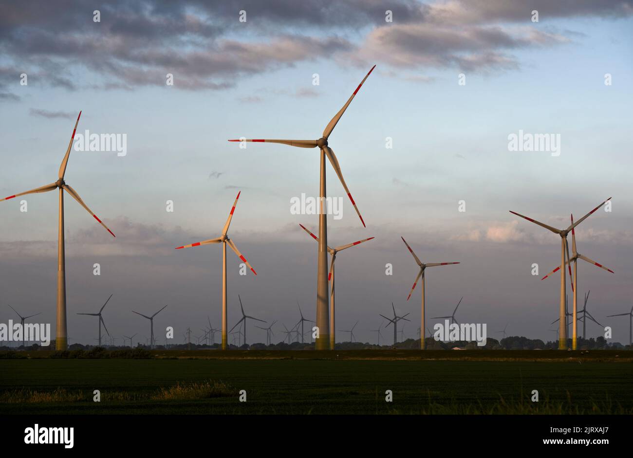 Wind turbines against the evening sky, Oldenswort-Moordeich wind farm, Oldenswort, Schleswig-Holstein, Germany Stock Photo