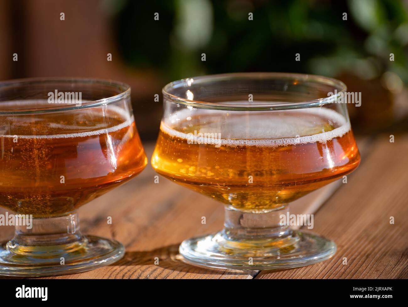 Tasting of fresh apple cider brut produced on organic farm from bio