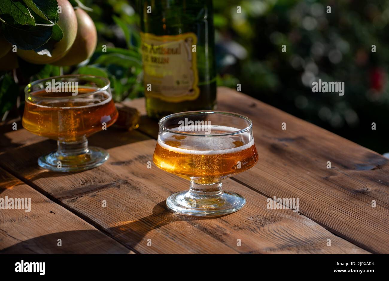 Tasting of fresh apple cider brut produced on organic farm from bio
