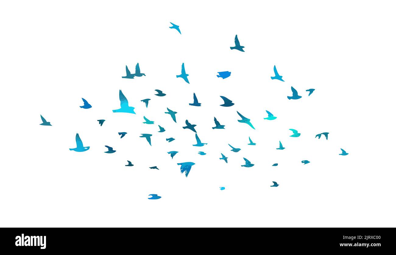 Bird watercolor. A flock of blue birds. Mixed media. Vector