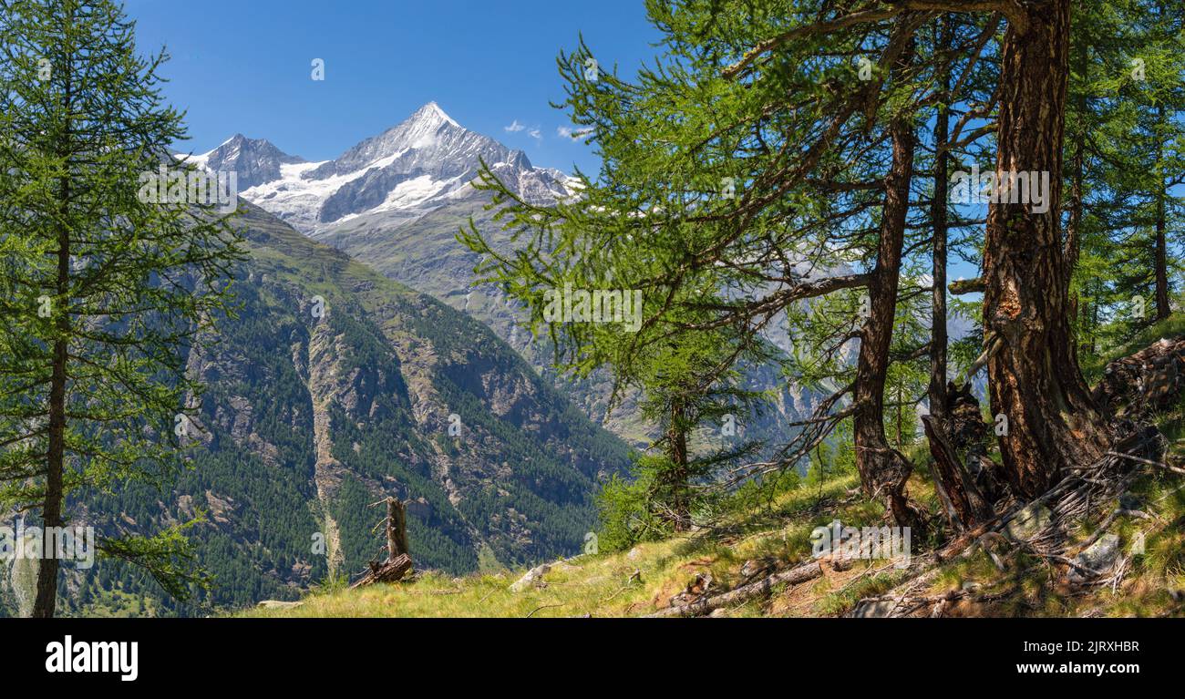 The Weisshorn peak in Walliser alps over the Mattertal valley Stock Photo