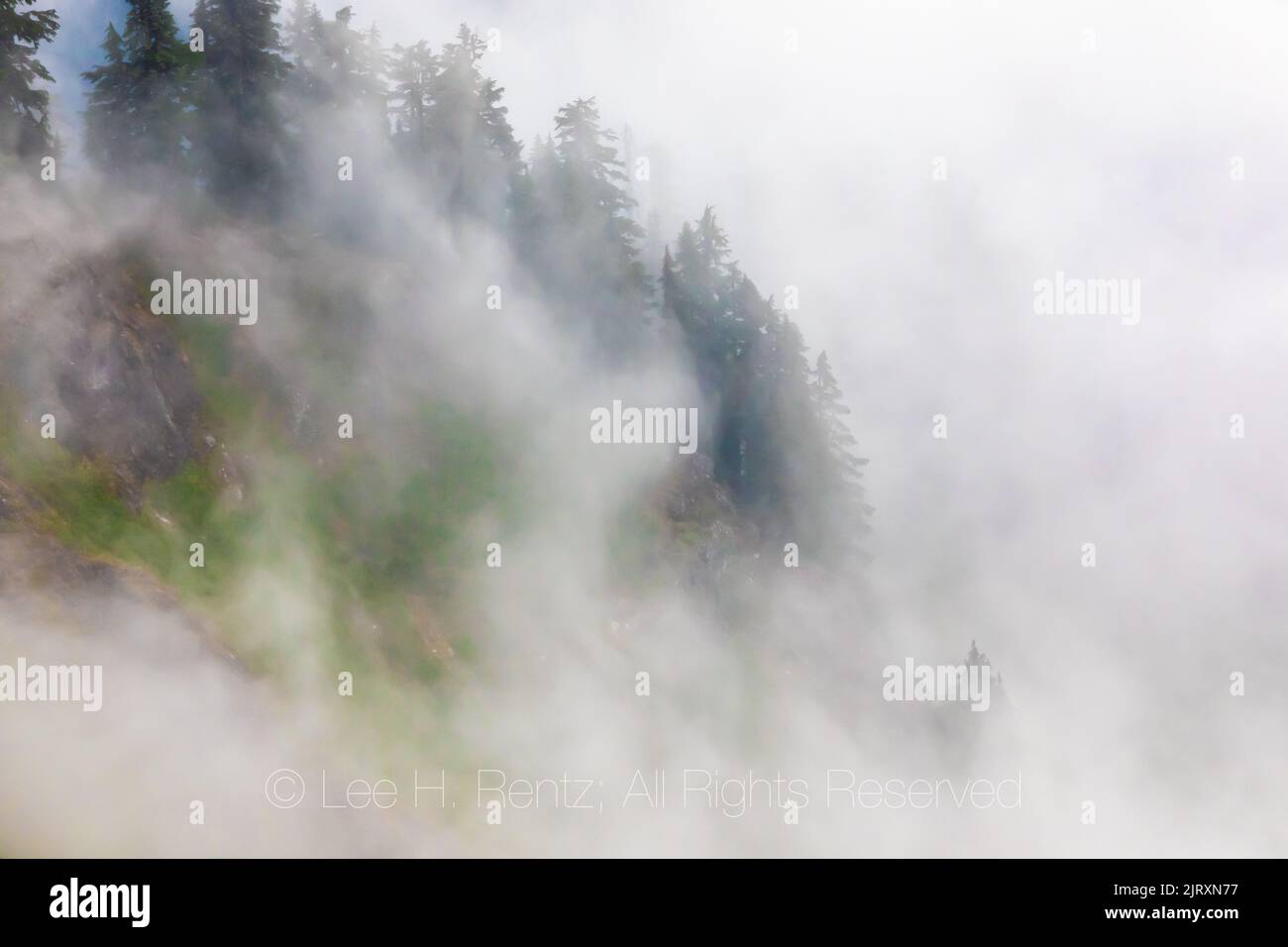 Zen-like low clouds and trees viewed from Evergreen Mountain Lookout,, Cascade Range, Mt. Baker-Snoqualmie National Forest, Washington State, USA Stock Photo