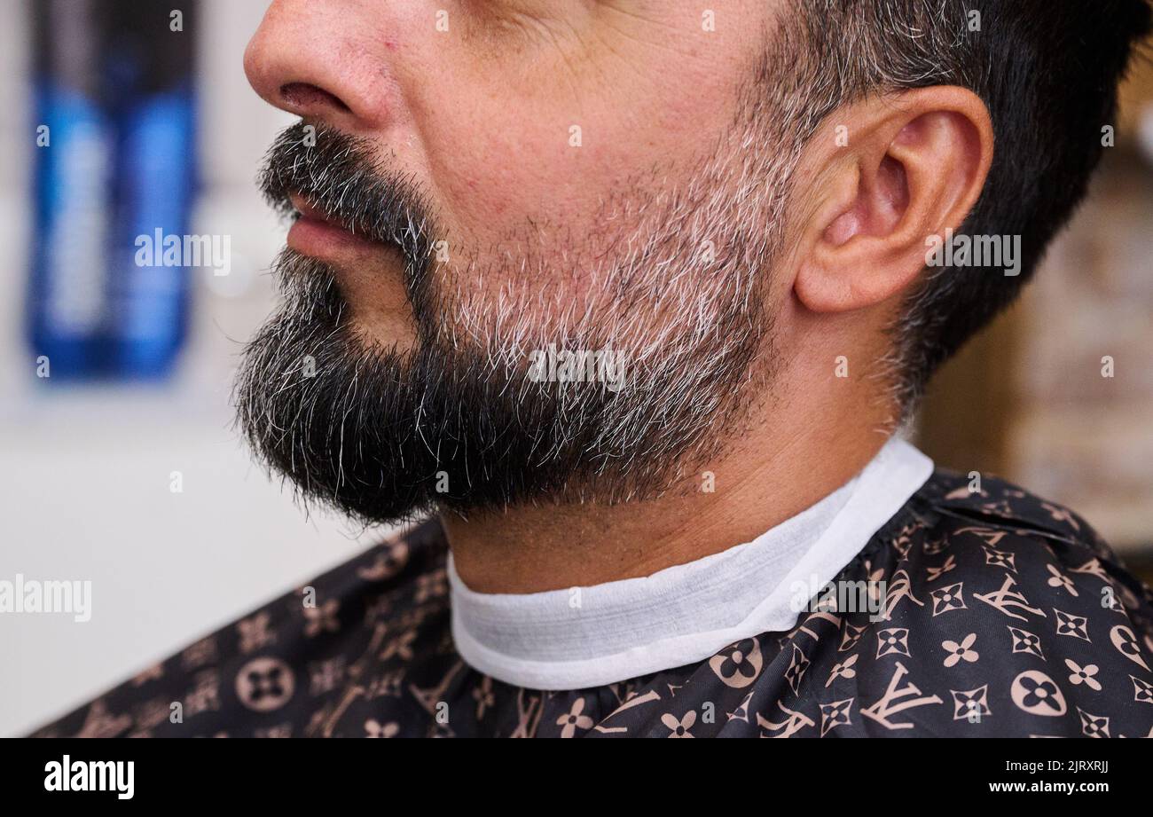 Germany Beards Berlin, Germany. 24th Aug, 2022. A man wears a full beard while sitting ...