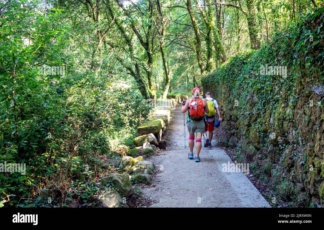 People Walking The Camino De Santiago In Spain Stock Photo