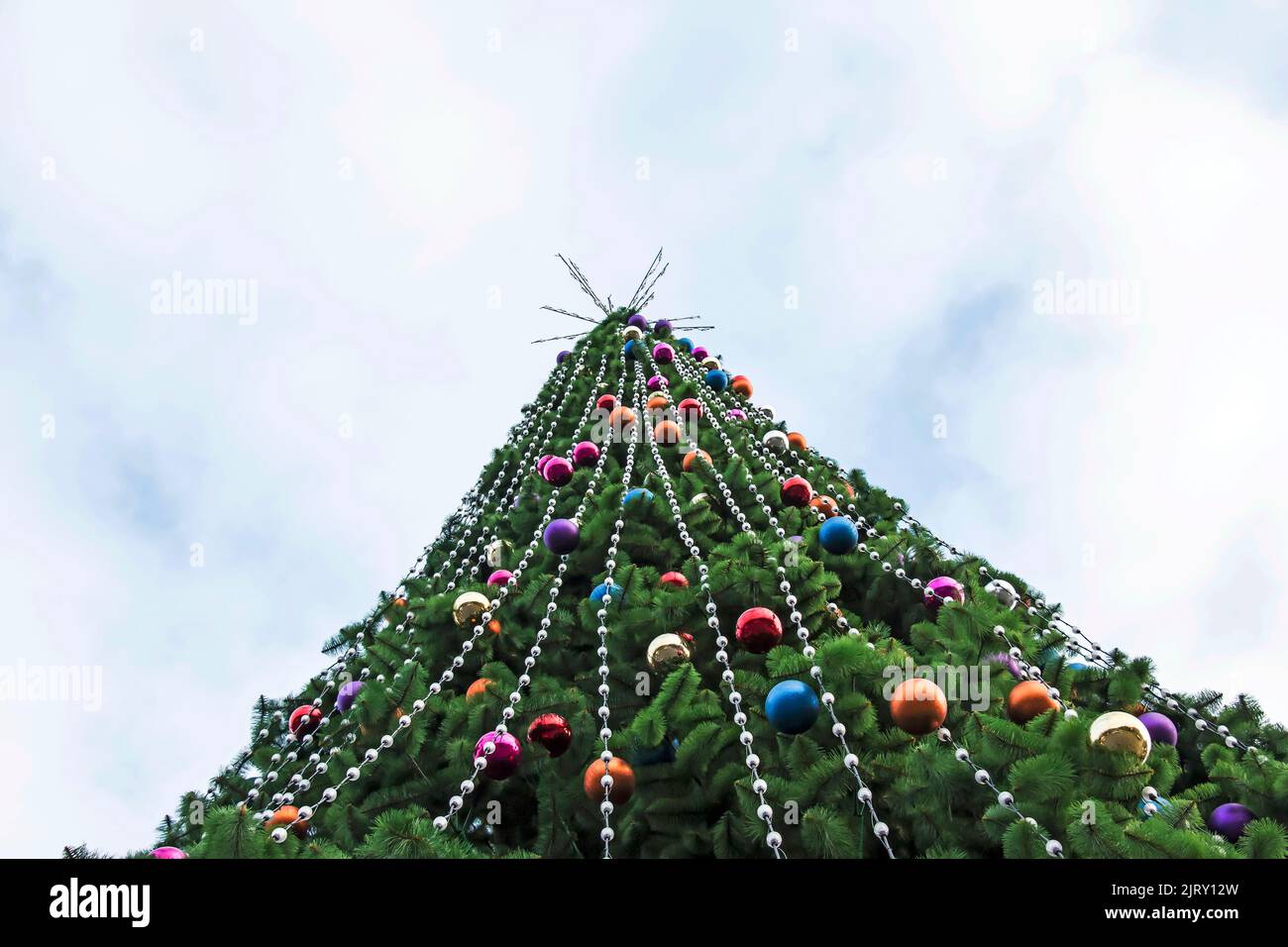 Giant Christmas tree. Christmas tree in the city on a clear day against