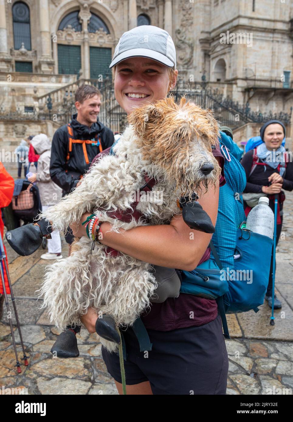 A Pilgrimage Dog Outside the Santiago De Compostela Galicia Spain Stock Photo