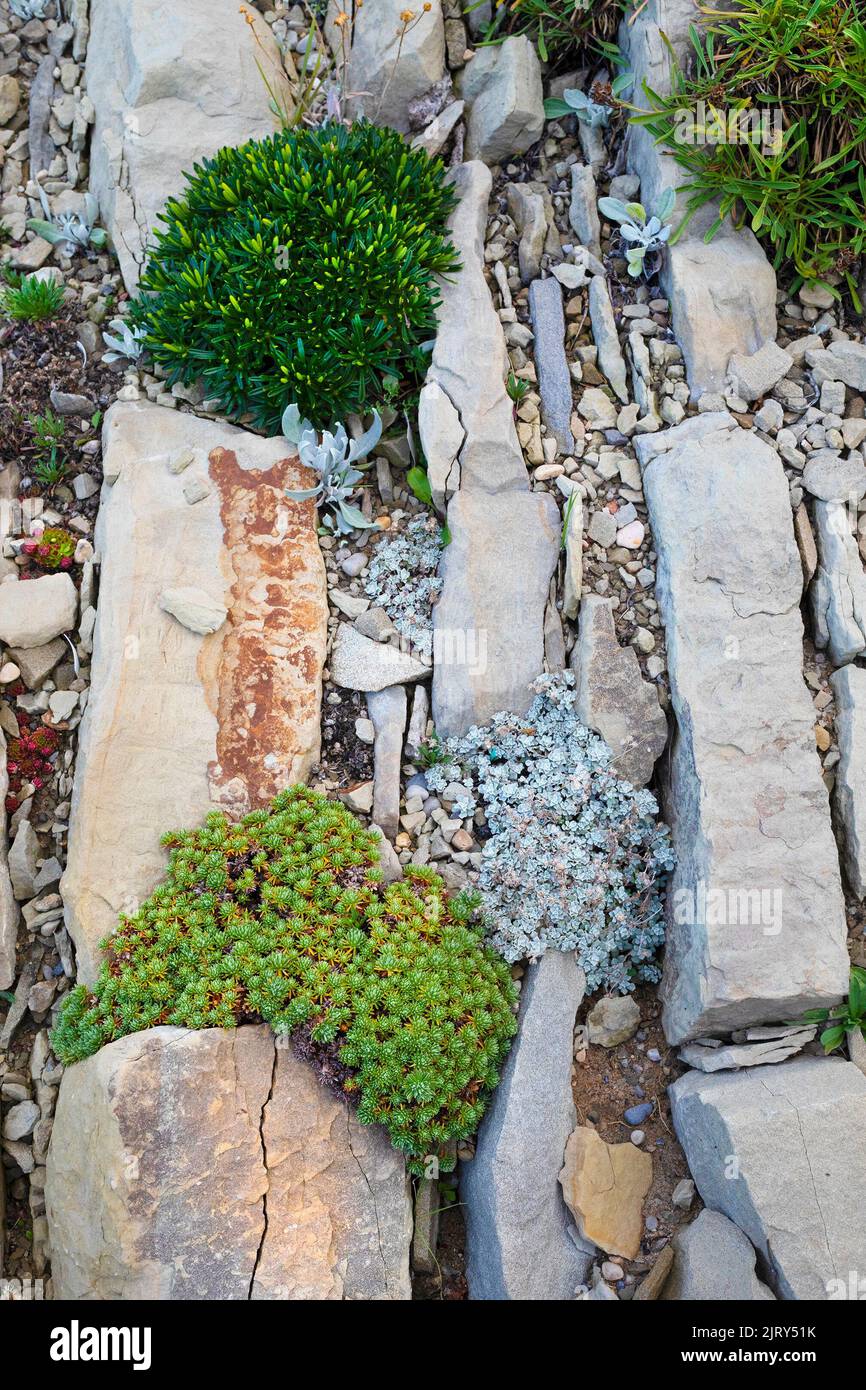 The Alpine Crevice and Native Plant Garden, a small rock garden at the